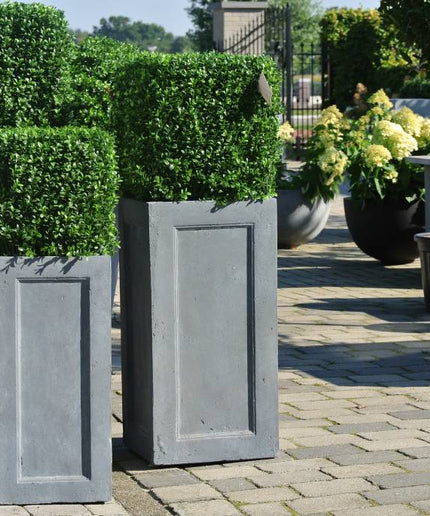 LeopoldFlora UV Buxus Kubus 40 cm