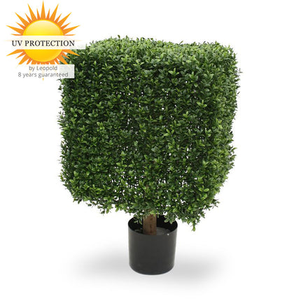LeopoldFlora UV Buxus kubus 50 cm