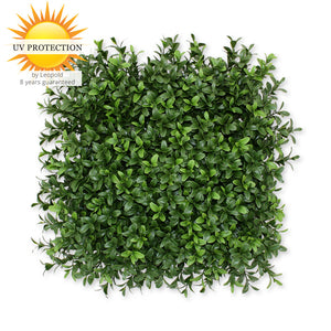 LeopoldFlora UV Buxus Matje