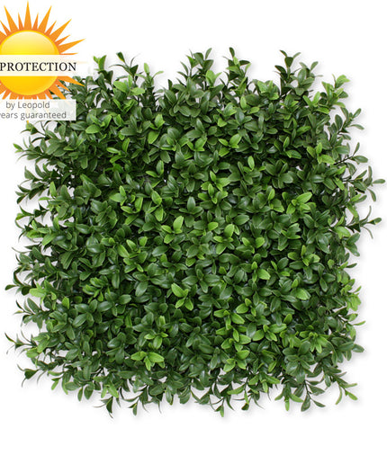 LeopoldFlora UV Buxus Matje