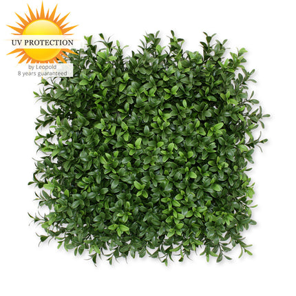LeopoldFlora UV Buxus Matje
