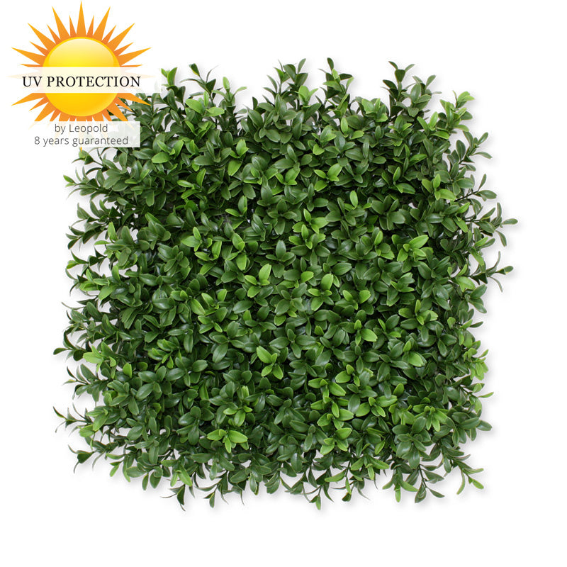 LeopoldFlora UV Buxus Matje