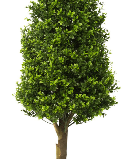 LeopoldFlora UV Buxus Pyramide 110 cm