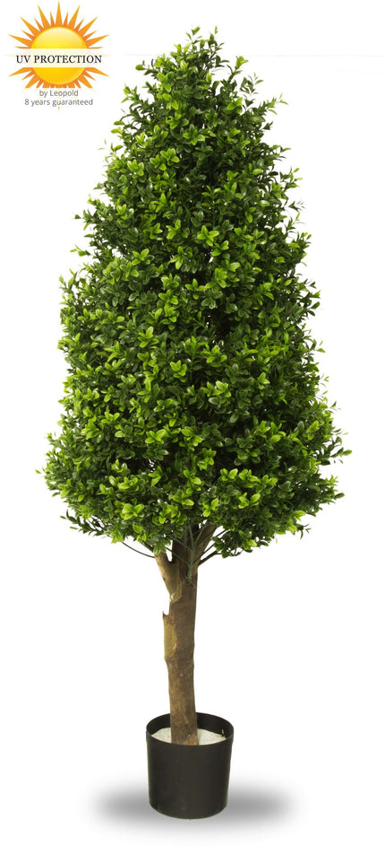 LeopoldFlora UV Buxus Pyramide 110 cm