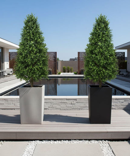 LeopoldFlora UV Buxus Pyramide 140 cm