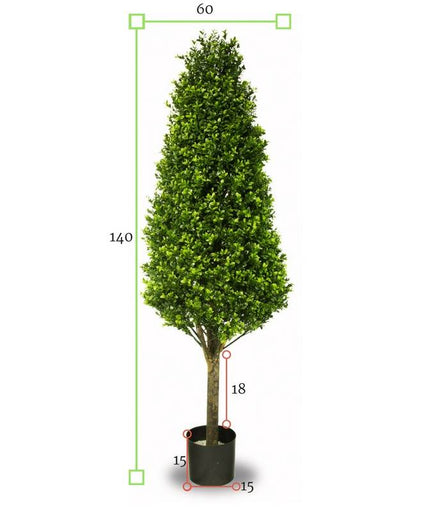 LeopoldFlora UV Buxus Pyramide 140 cm