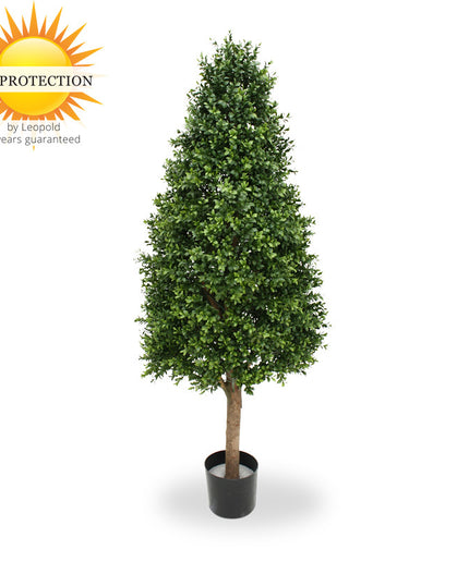 LeopoldFlora UV Buxus Pyramide 140 cm
