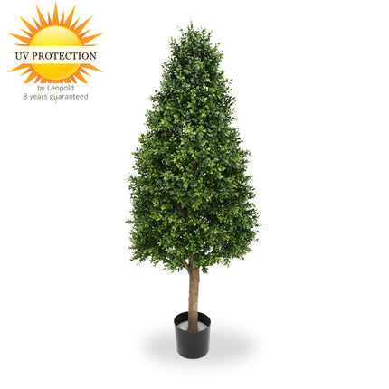 LeopoldFlora UV Buxus Pyramide 140 cm