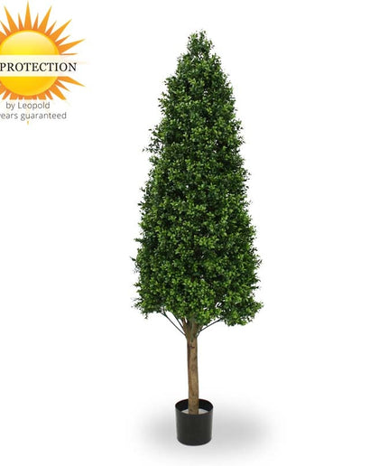 LeopoldFlora UV Buxus Pyramide 170 cm