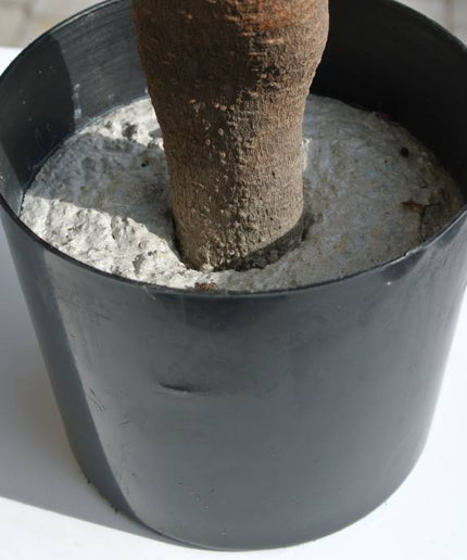 LeopoldFlora UV Buxus Spiraal 100 cm