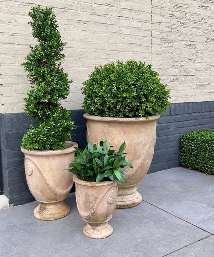 LeopoldFlora UV Buxus Spiraal 100 cm