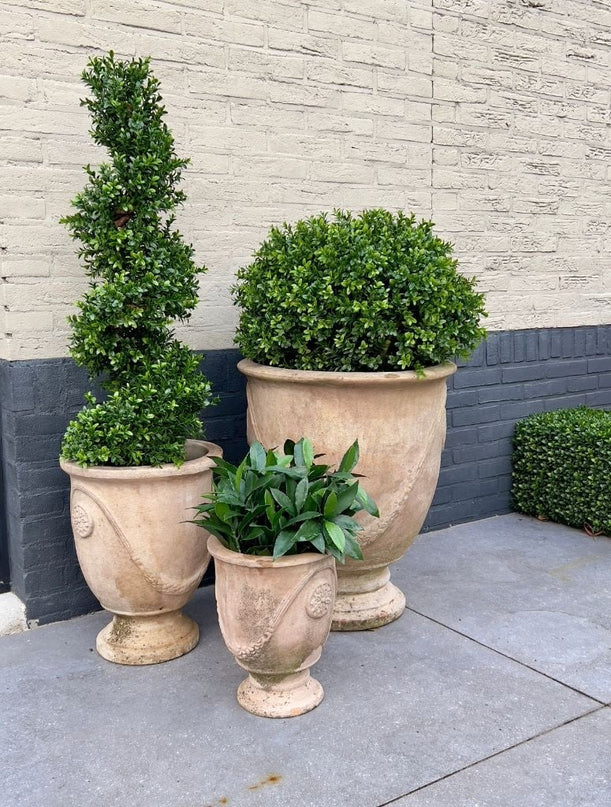 LeopoldFlora UV Buxus Spiraal 100 cm