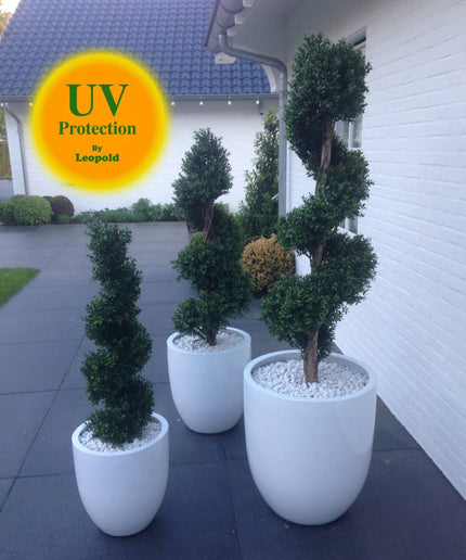 LeopoldFlora UV Buxus Spiraal 140 cm