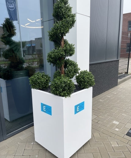 LeopoldFlora UV Buxus Spiraal 140 cm