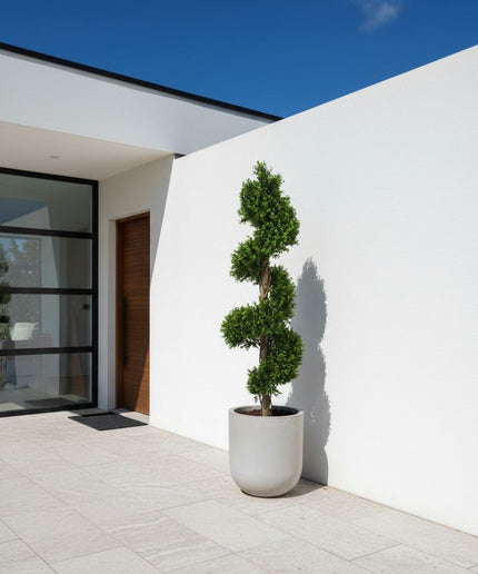 LeopoldFlora UV Buxus Spiraal 170 cm