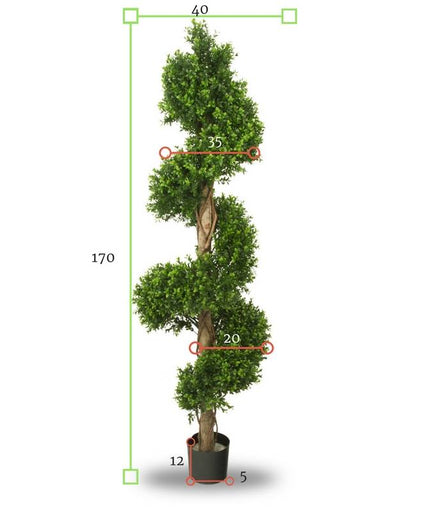 LeopoldFlora UV Buxus Spiraal 170 cm