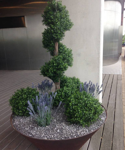 LeopoldFlora UV Buxus Spiraal 170 cm