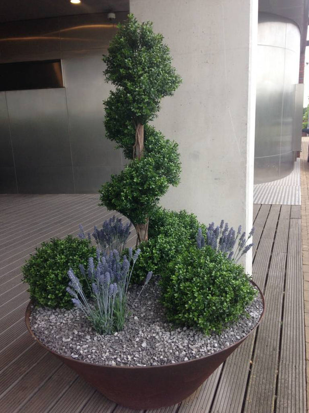 LeopoldFlora UV Buxus Spiraal 170 cm
