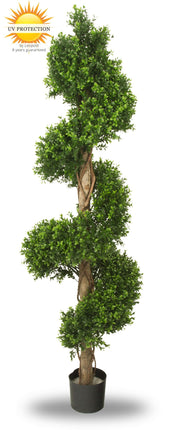 LeopoldFlora UV Buxus Spiraal 170 cm