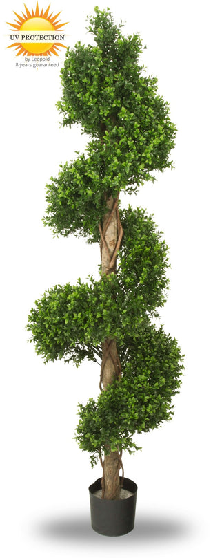 LeopoldFlora UV Buxus Spiraal 170 cm