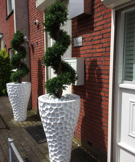 LeopoldFlora UV Buxus Spiraal 170 cm