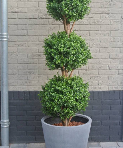 LeopoldFlora UV Buxus Triobol 175 cm