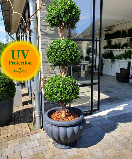 LeopoldFlora UV Buxus Triobol 175 cm