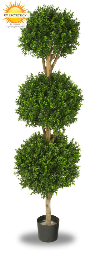 LeopoldFlora UV Buxus Triobol 175 cm