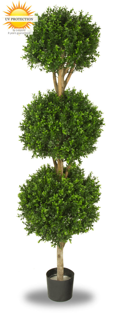 LeopoldFlora UV Buxus Triobol 175 cm