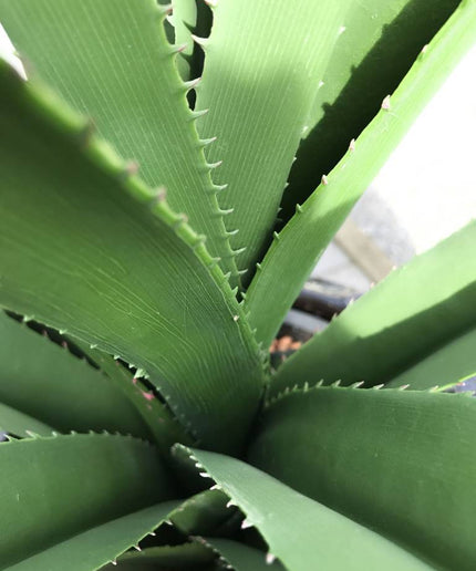 LeopoldFlora uv design kunstplant Ananas 140