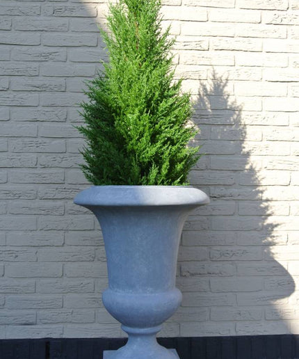 LeopoldFlora UV Kunst Conifeer 100 cm