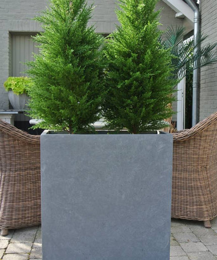 LeopoldFlora UV Kunst Conifeer 100 cm