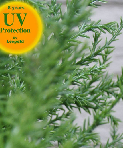 LeopoldFlora UV Kunst Conifeer 120 cm