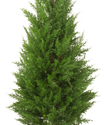 LeopoldFlora UV Kunst Conifeer 120 cm