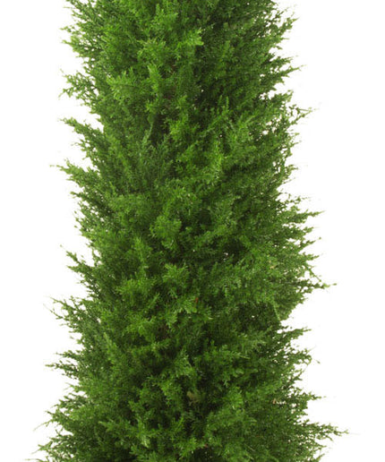 LeopoldFlora UV Kunst Conifeer 150 cm