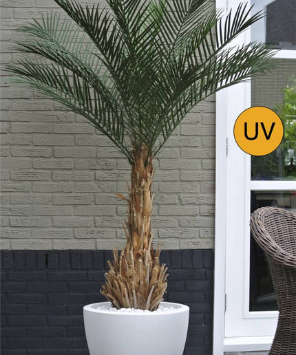 LeopoldFlora UV Kunstpalm Phoenix 170