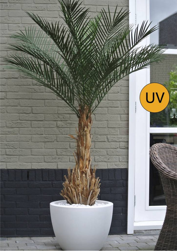 LeopoldFlora UV Kunstpalm Phoenix 170