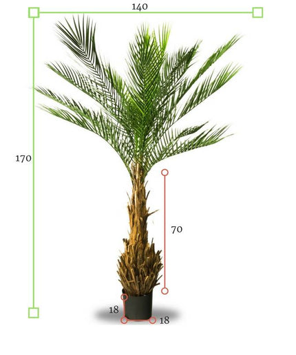 LeopoldFlora UV Kunstpalm Phoenix 170