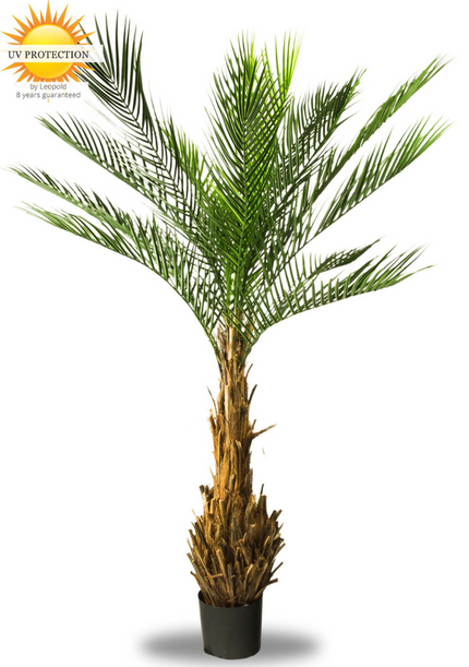 LeopoldFlora UV Kunstpalm Phoenix 170