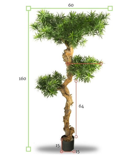 LeopoldFlora UV Podocarpus Bonsai 160cm